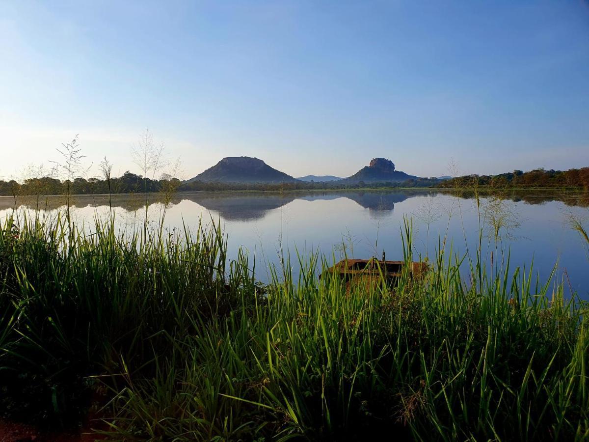 Sigiriya Danu Homestay Dış mekan fotoğraf